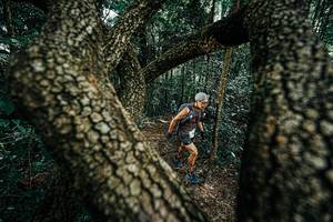 BIB: 
                            <button type="button" onclick="openModal(25392553)" class="btn btn-primary btn-sm float-right btn-popup" data-toggle="modal" data-target=".modal-high-quality">
                        <i class="fas fa-shopping-cart"></i> Add to Cart
                    </button>
                                            <button type="button" onclick="isThisMe(25392553, true)" class="btn btn-success btn-sm float-right btn-popup btn-isme hidden" data-toggle="tooltip" data-placement="bottom" title="นี่คือรูปของคุณใช่ไหม คลิกที่นี่เพื่อเอาเข้าอัลบั้ม">
                        <i class="fas fa-plus"></i> Add to album
                    </button>
                    <button type="button" onclick="isThisMe(25392553, false)" class="btn btn-warning btn-sm float-right btn-popup btn-isnotme hidden">
                        <i class="fas fa-ban"></i> Remove from album
                    </button>